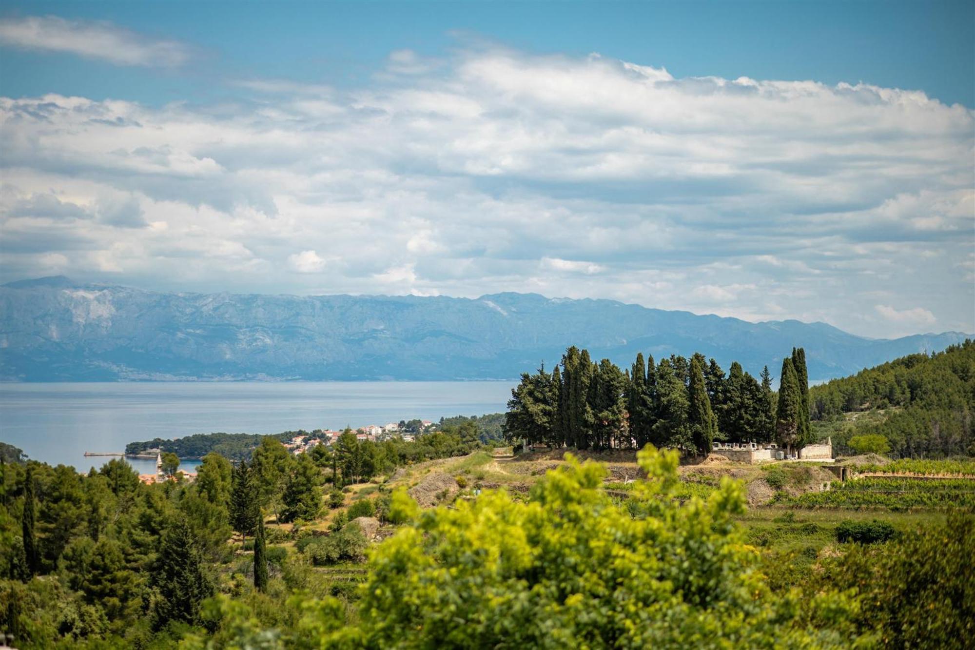 Dvor Pitve Villas Jelsa  Ruang foto